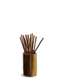ֿ ۻ